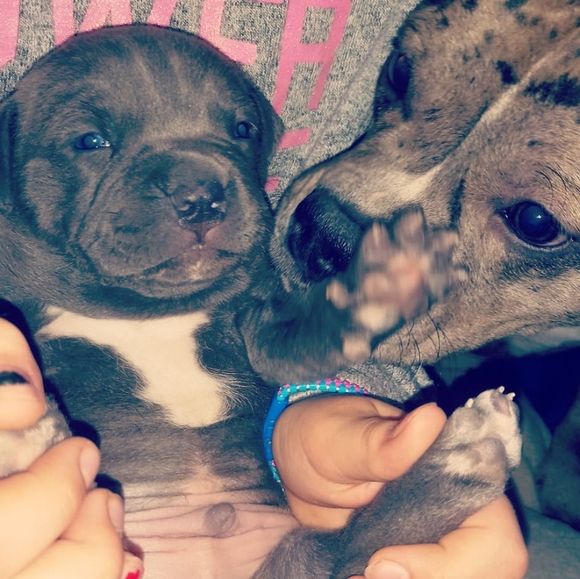 Meet your Posher, Jesisthabest - Picture 9 of 12